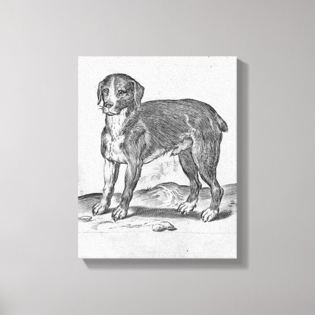 Dog Canvas Print (Front)