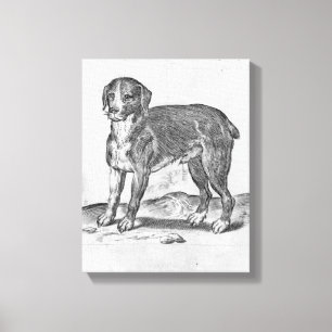 Dog Canvas Print