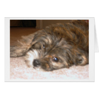 Dog Card