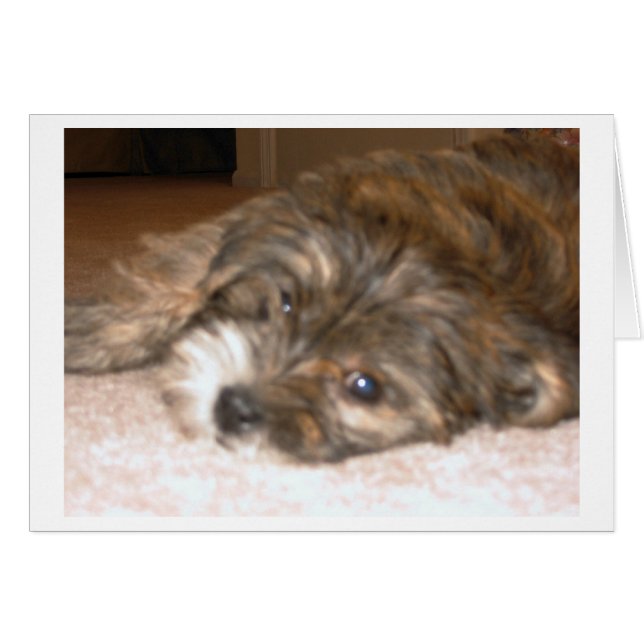 Dog Card (Front Horizontal)