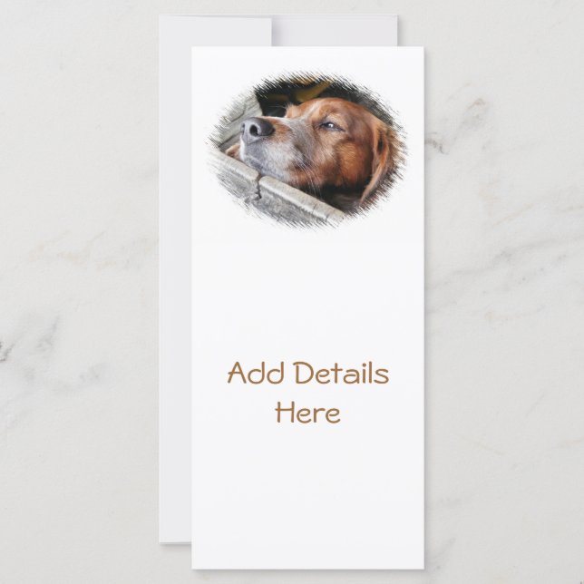 DOG CARDS (Front)