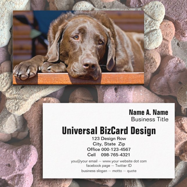 Dog Care Business Chocolate Labrador Retriever Business Card (Creator Uploaded)