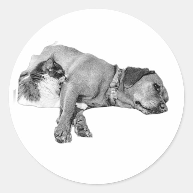 Dog & Cat Cuddling Monochrome Sticker (Front)
