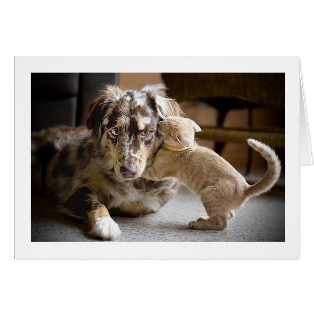 Dog & Cat Love #1 (Front Horizontal)