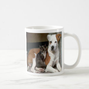 Dog & Cat Mug