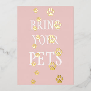 Dog & Cat Paw Prints Pet Friendly Custom Peach