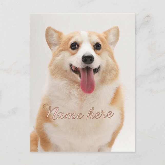 Dog cat pet name photo template simple minimal  postcard (Front)