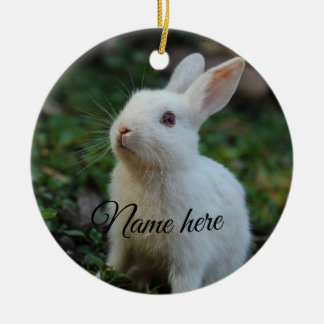 Dog cat pet name photo template simple rabbit ceramic tree decoration