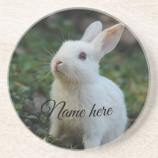 Dog cat pet name photo template simple rabbit coaster