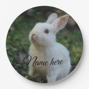 Dog cat pet name photo template simple rabbit paper plate