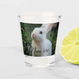 Dog cat pet name photo template simple rabbit shot glass