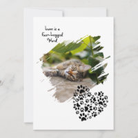 Dog Cat Pet Paw Custom Photo Valentine's Day Love