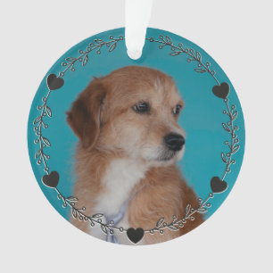 Dog Cat Pet Photo Hearts Custom Personalised Ornament