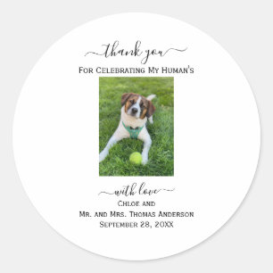 Dog Cat Photo My Human's Thank You Wedding Favour Classic Round Sticker
