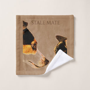 Dog/cat "stale mate" wash cloth. cloth