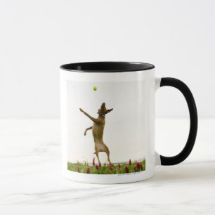 Dog catching tennis ball in mid-air mug