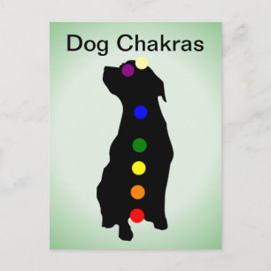 Dog Chakras postcard