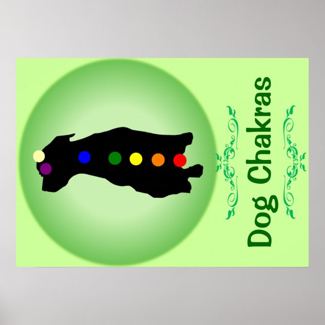 Dog Chakras poster (Front)