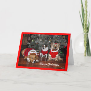 Dog Christmas Card