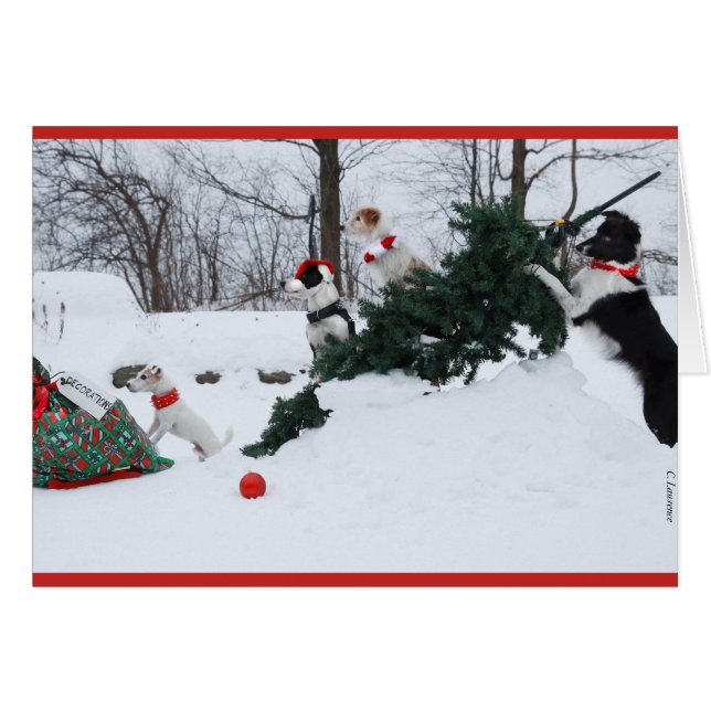 Dog Christmas Card (Front Horizontal)