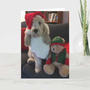 Dog Christmas Card