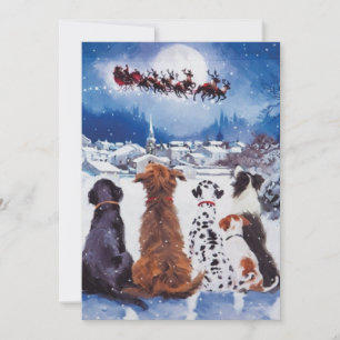 Dog, Christmas, Dogs, Rescue Dogs, Holiday, santa, Holiday Card