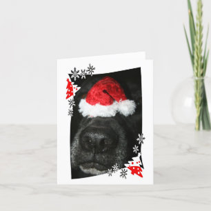 Dog Christmas hat on nose, black lab mix canine Holiday Card