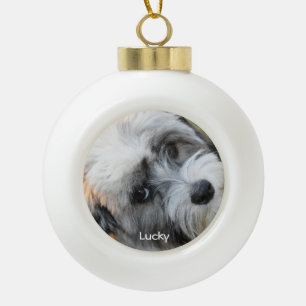 Dog Christmas Ornaments Ceramic Ball Custom Photo