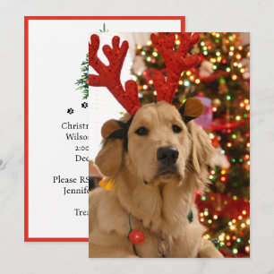 Dog Christmas Play Group Fur Friends Holiday Card