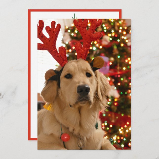 Dog Christmas Play Group Fur Friends Holiday Card (Front/Back)