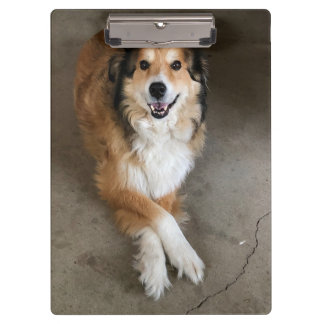 Dog Clipboard