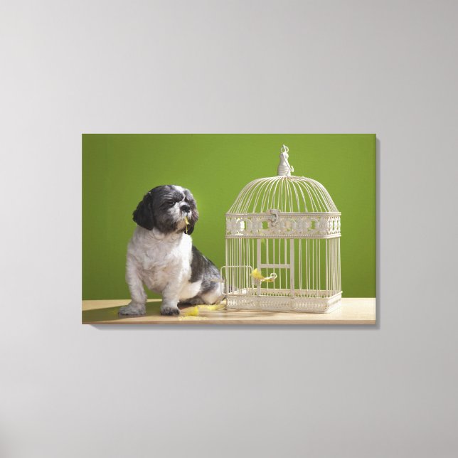 Dog close to a bird cage canvas print (Front)