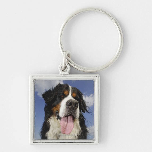 Dog, close-up key ring (Front)