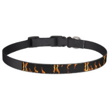 Dog Collar Flammen Flamme Flame Flames Feuer Fire 