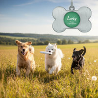 Dog collar ID tag for pets | Customisable keychain