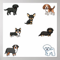 Dog collection