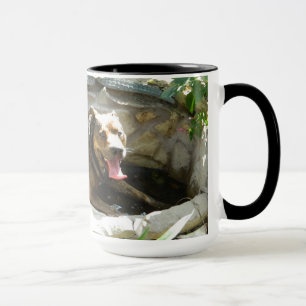 Dog Cooling in Water Mug