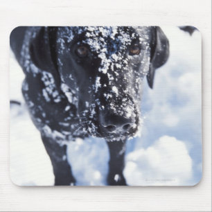 Dog covered in snow mouse pad
