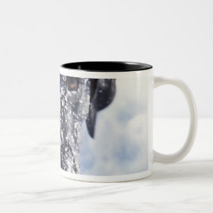 Dog covered in snow Two-Tone coffee mug