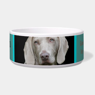 Dog Custom Photo
