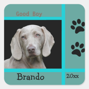 Dog Custom Photo Custom Square Sticker