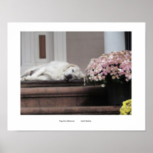 Dog Day Afternoon Print