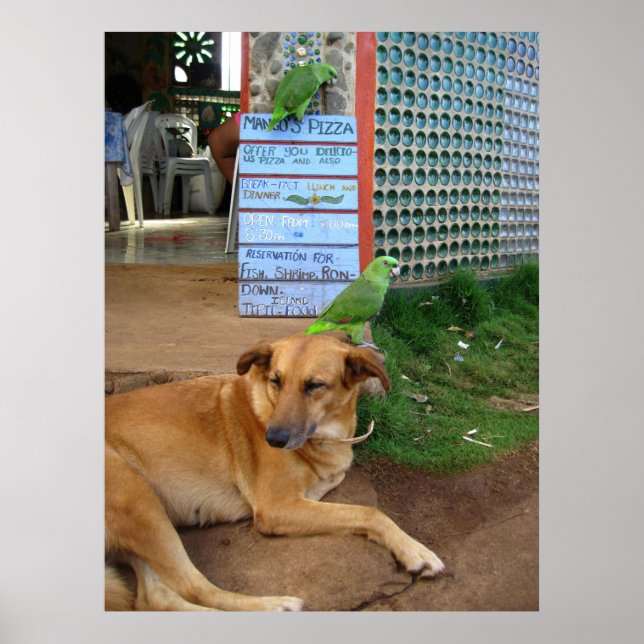 Dog Day in on Little Corn Island Poster (Front)