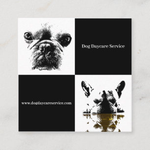Dog Daycare Square Business Card
