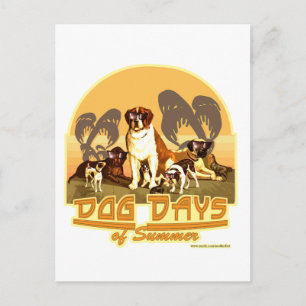 Dog Days of Summer Postcard