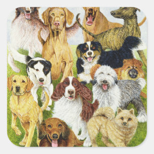 Dog Days Square Sticker