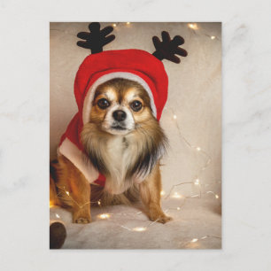 Dog Deer Postcard
