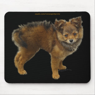 Dog Designs for Pet-lovers Mouse Pad