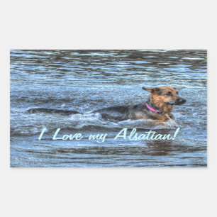 Dog Designs for Pet-lovers Rectangular Sticker