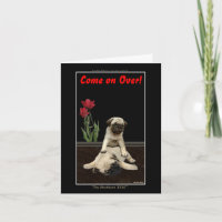 Dog Designs for Pet-lovers